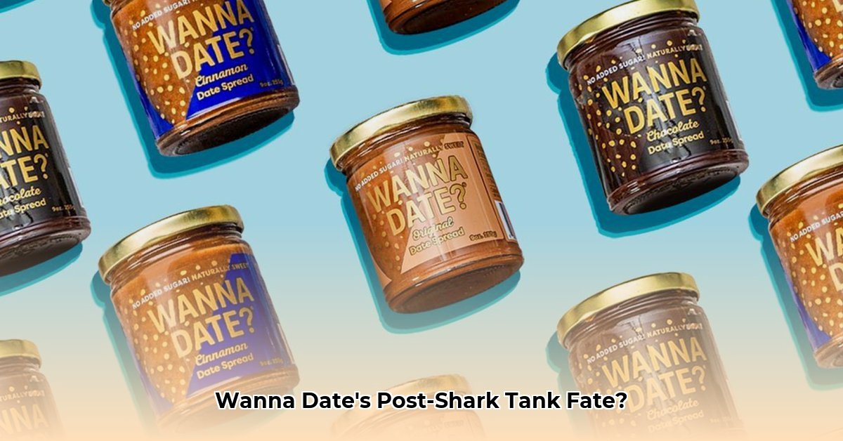 wanna-date-net-worth